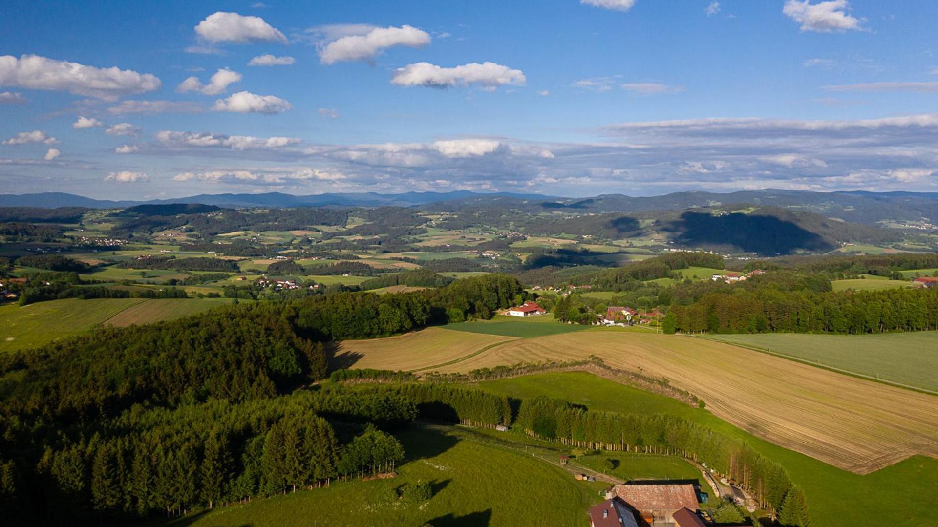 Ferienwohnung „Rose“ Wiesenfelden ภายนอก รูปภาพ